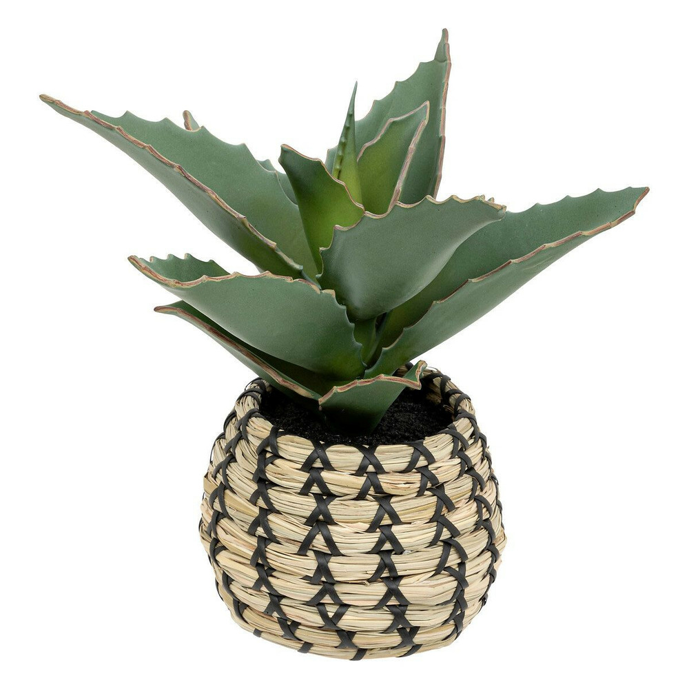 Plante artificielle samouraï 