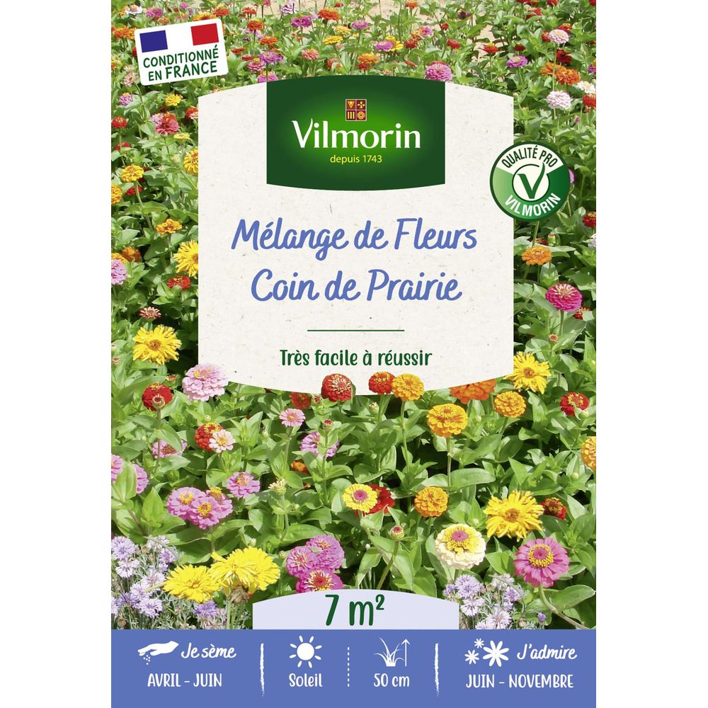 Coin de prairie - 7 m² - mélange de fleurs