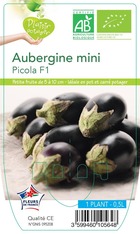 Aubergine picola f1   -plant ab  en  pot 0.5 l- plante du potager