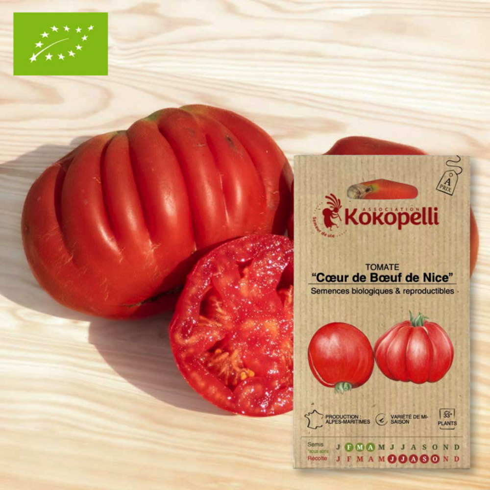 Tomate cœur de bœuf de nice- graines bio à semer