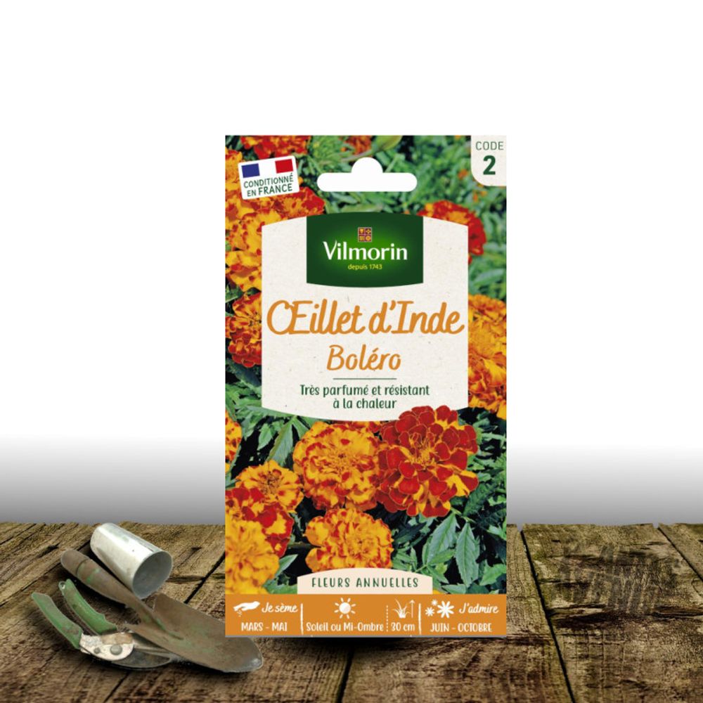 Graines d'oeillet d'inde bolero - vilmorin sachet