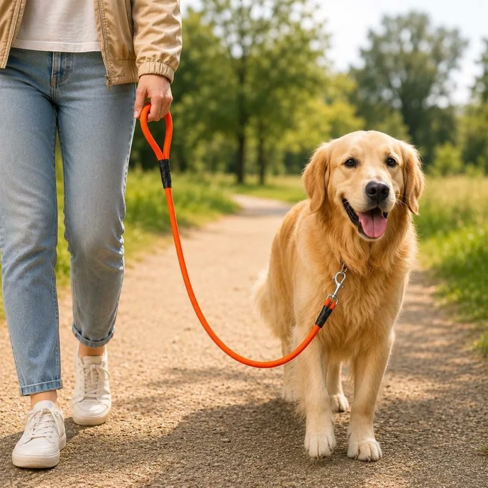 Laisse tubulaire hb dog biothane orange 120 cm