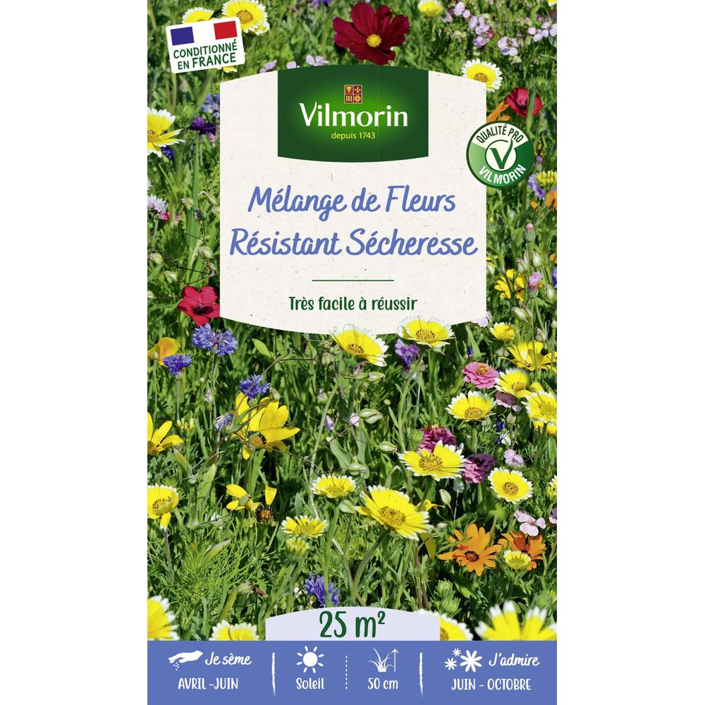 Fleurs résistantes sécheresse - 25 m² - mélange de fleurs