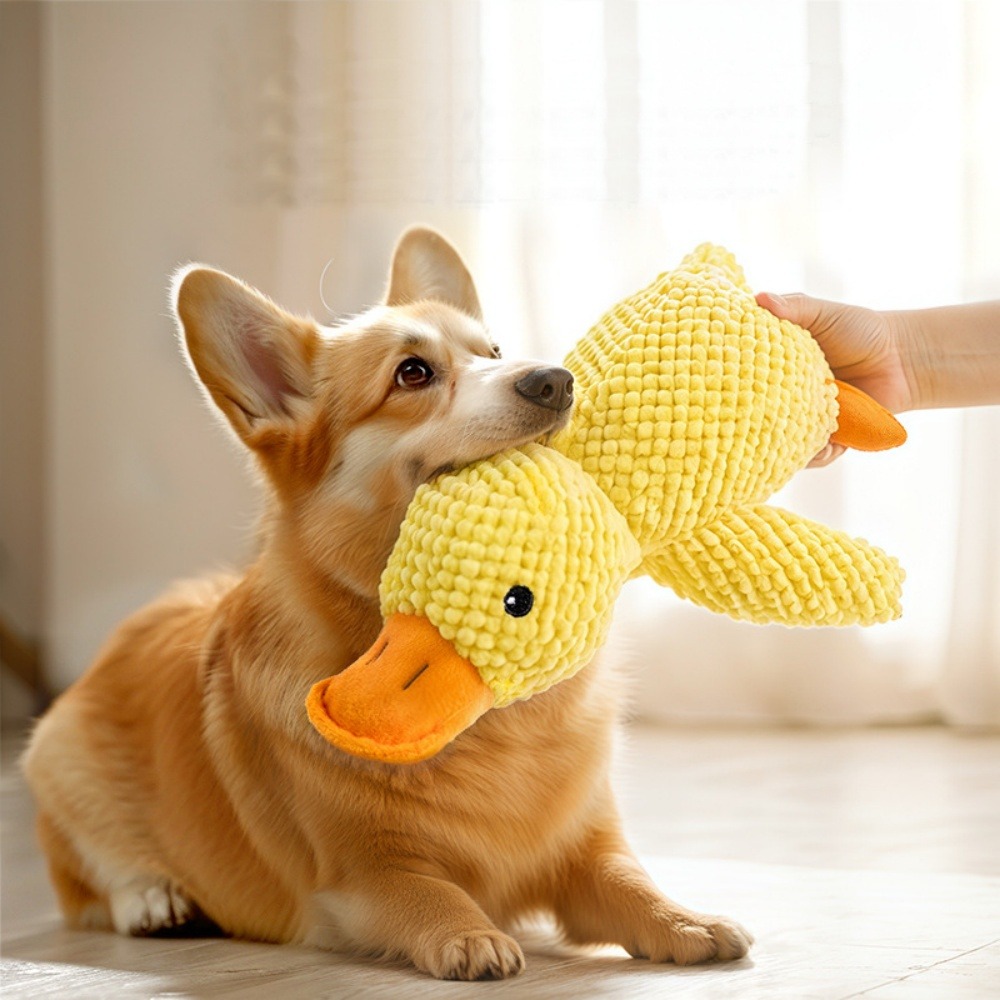 Dtopbuyage jouet en peluche de canard pour chiens