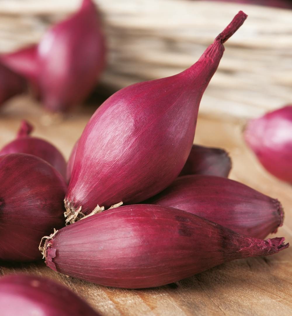 Oignon rouge red baron - 250 g