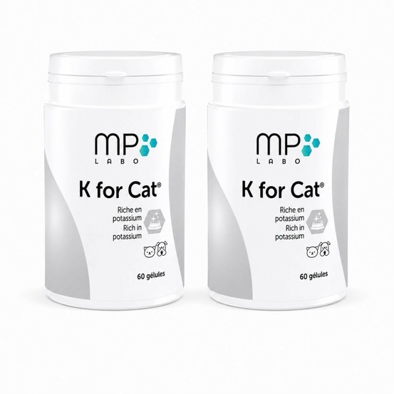 K for cat - mp labo 60 gelules