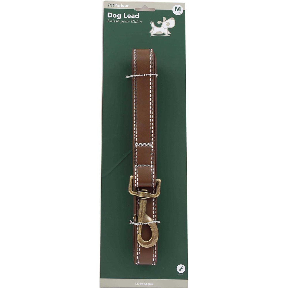 Laisse en polyuréthane 120 cm marron foncé