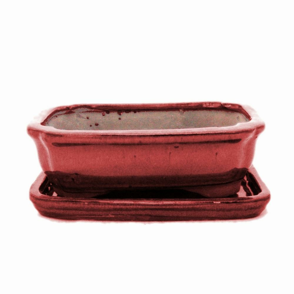 Bol bonsaï avec soucoupe taille 2 - rectangulaire g12 - rouge - l 15,5cm - l 12cm - l 12cm - h 4,5cm