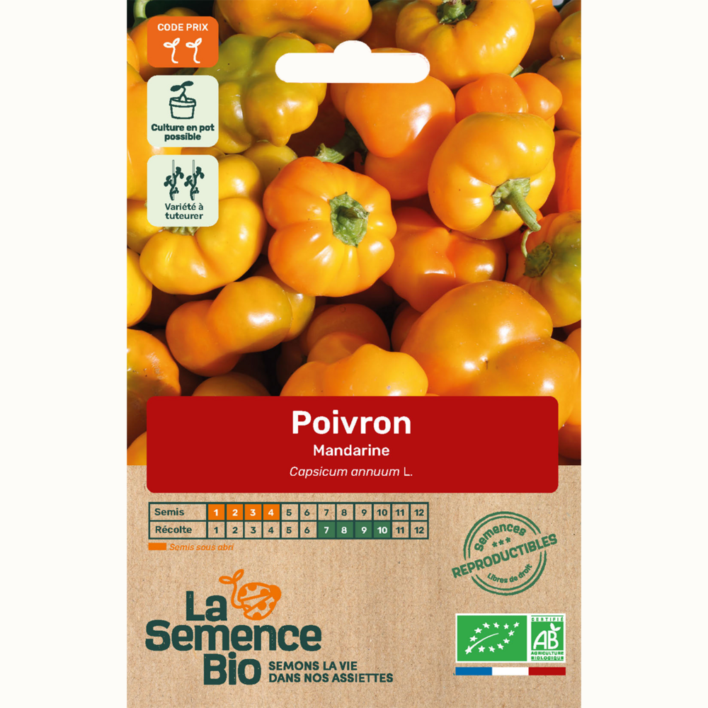 Poivron mandarine - graines bio