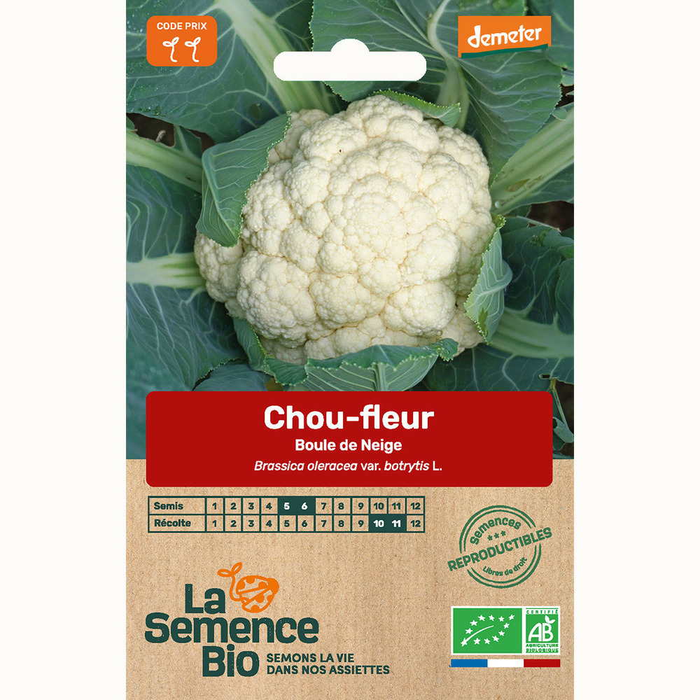 Chou-fleur boule de neige - graines bio