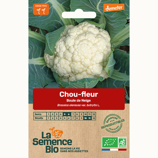 Chou-fleur boule de neige - graines bio