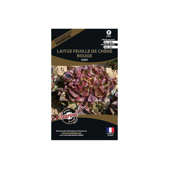 Graines potagères premium laitue feuille de chêne rouge saxo