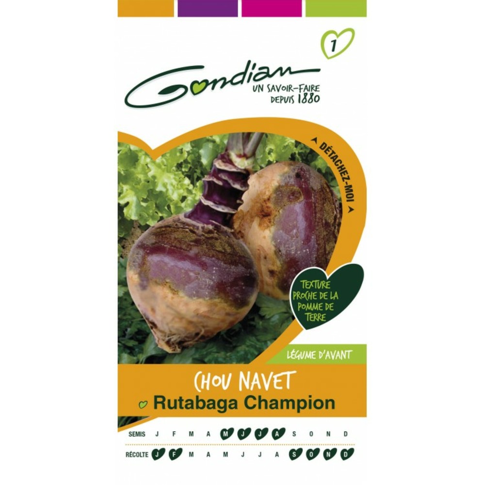Chou navet rutabaga champion