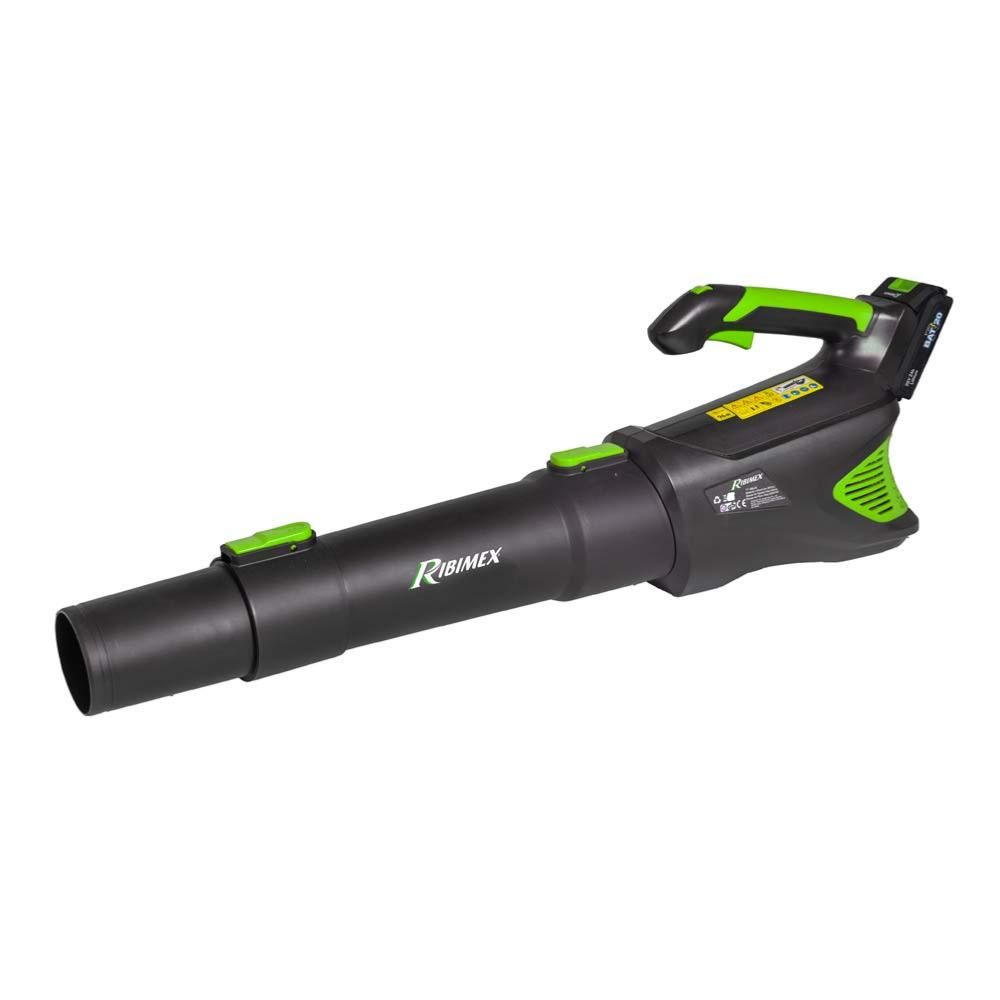 Souffleur de jardin à batterie r-bat20 20v batterie 2amp et câble de charge usb