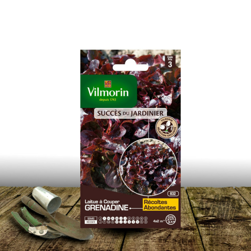 Graines de laitue à couper feuille de chêne rouge grenadine - vilmorin sachet