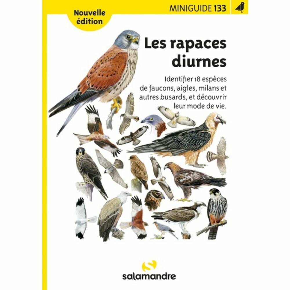 Miniguide 133 - les rapaces diurnes