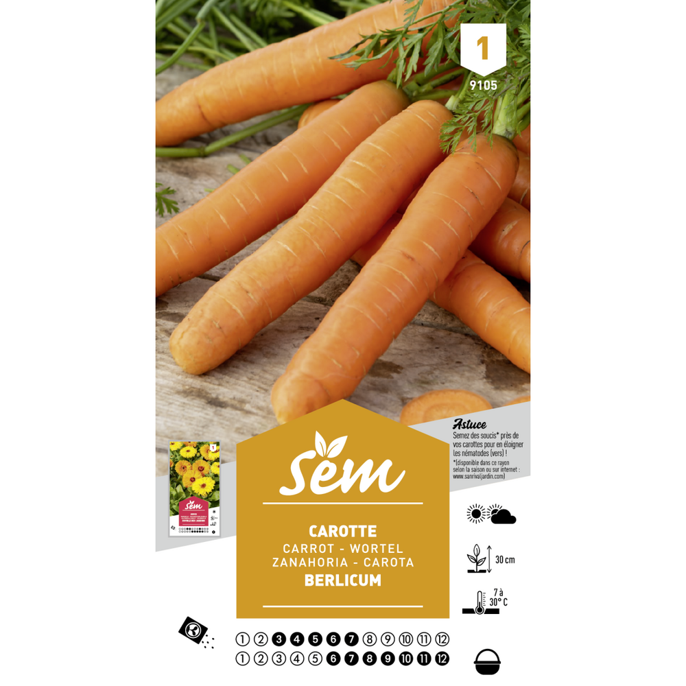 Graines potagères carotte berlicum type nantais