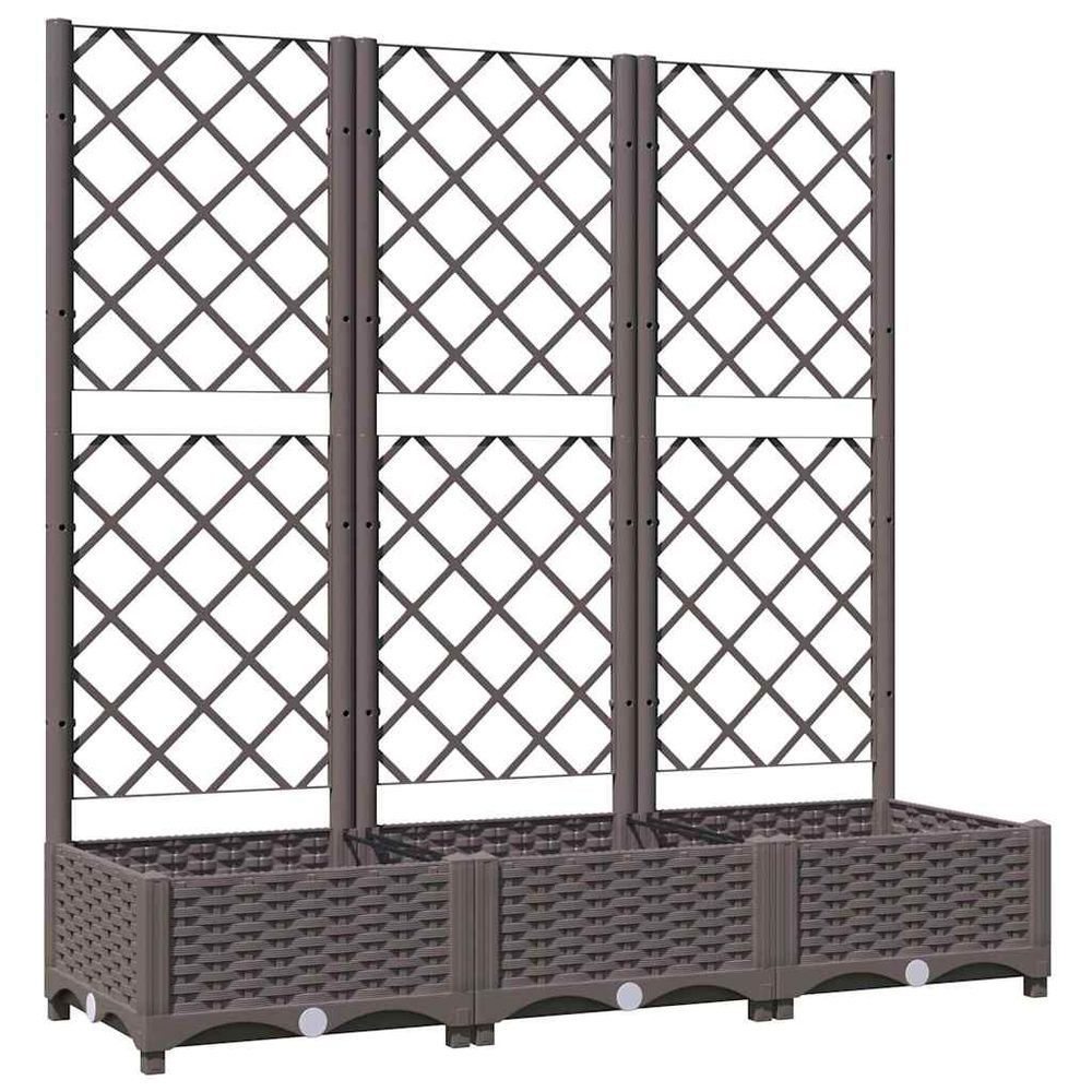 Jardinière avec treillis marron 120 x 40 x 121,5 cm pp