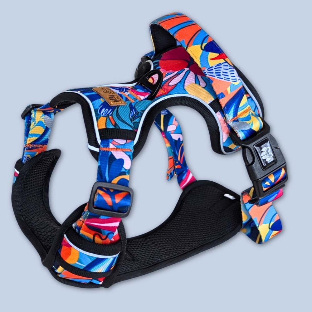 Harnais pour chien confort lagon - l