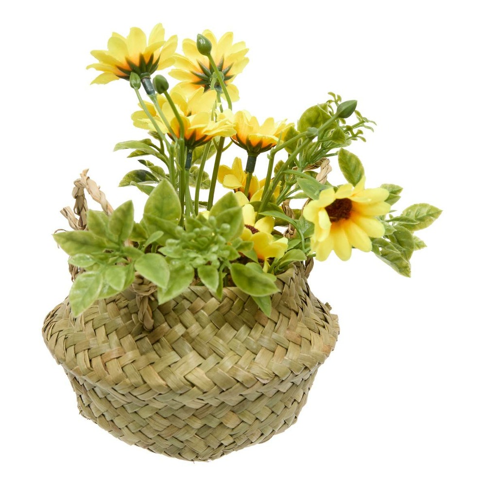 Composition de marguerites tifi h17cm