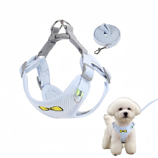 Ensemble de laisses pour chat et chienbleu m