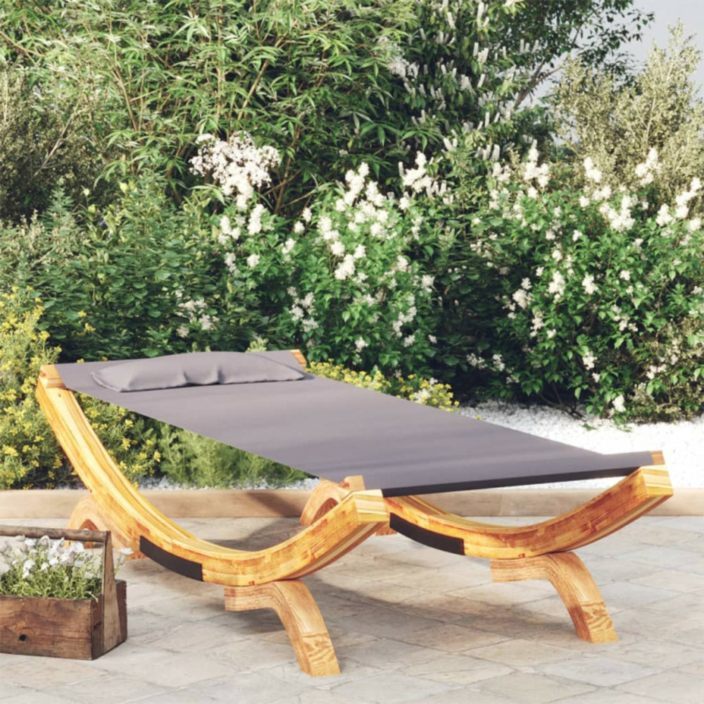 Lit de repos extérieur 100x188,5x44 cm bois courbé anthracite