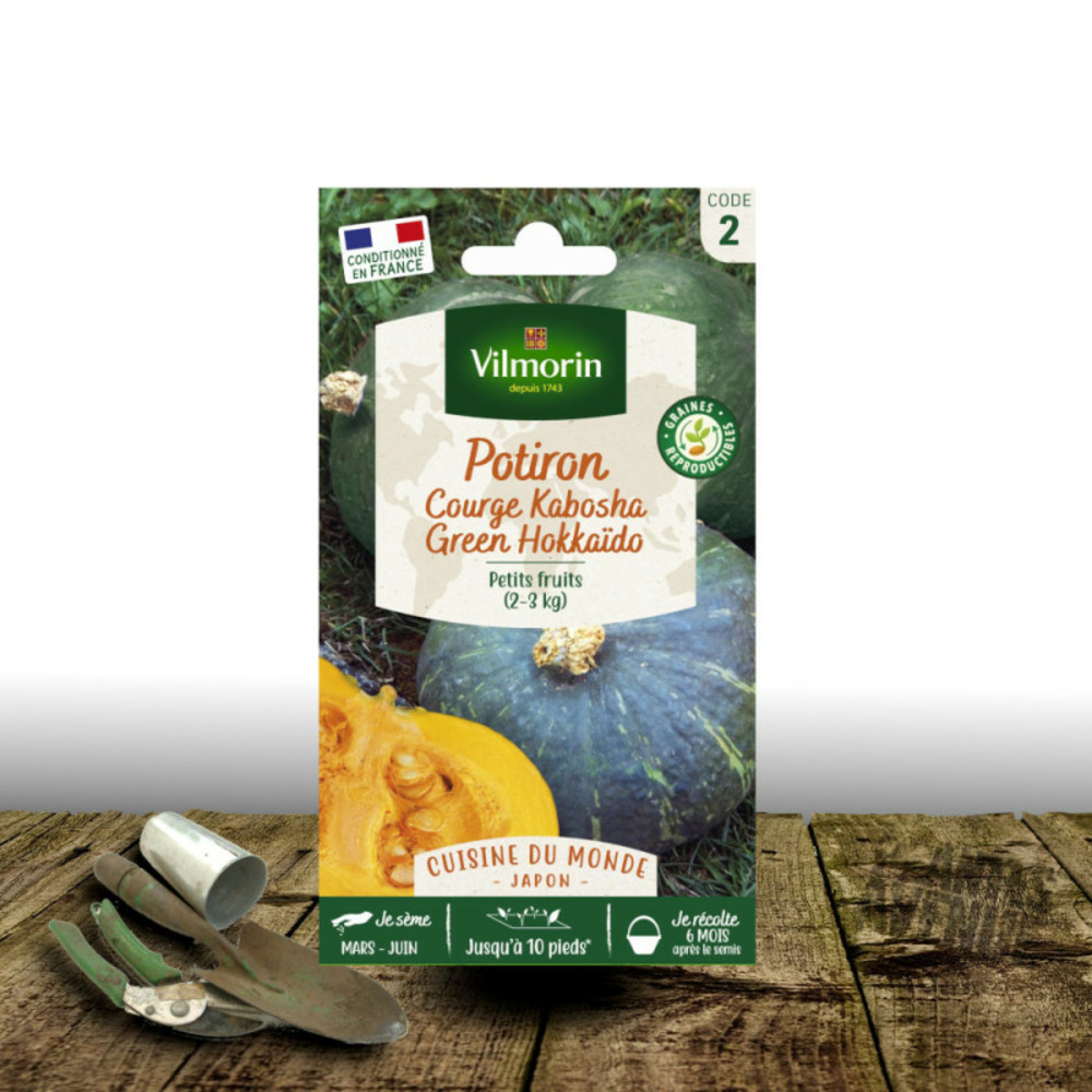 Graines de potiron kabo green hokkaido - vilmorin sachet