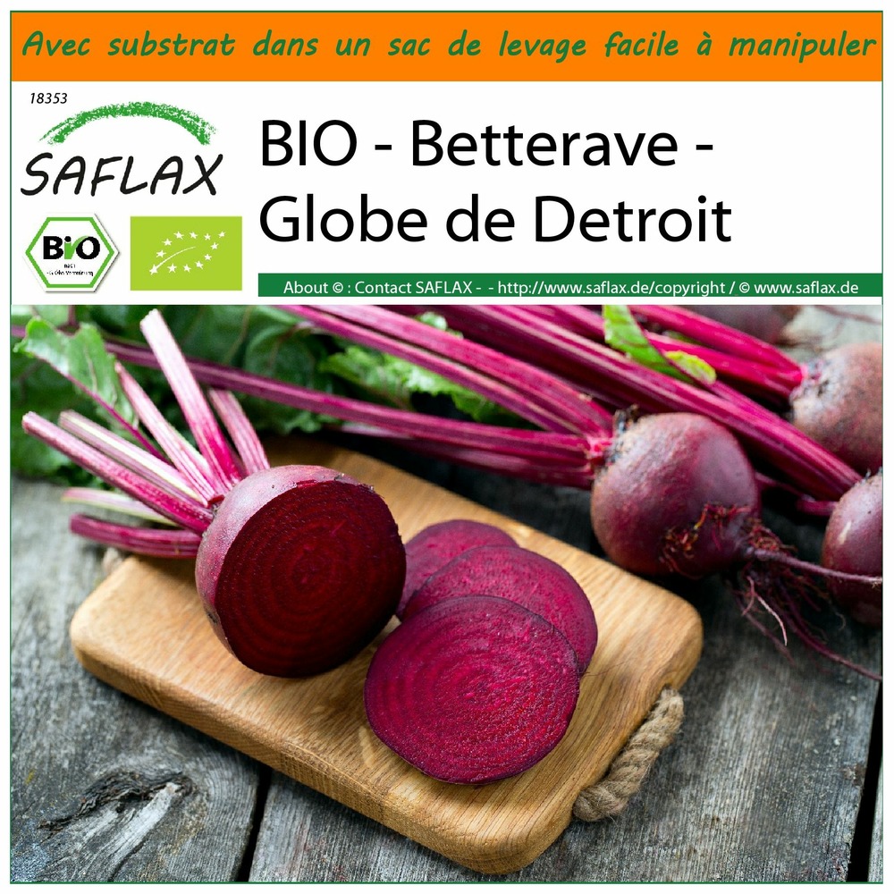 Garden in the bag - bio - betterave - globe de detroit - 100 graines - beta vulgaris