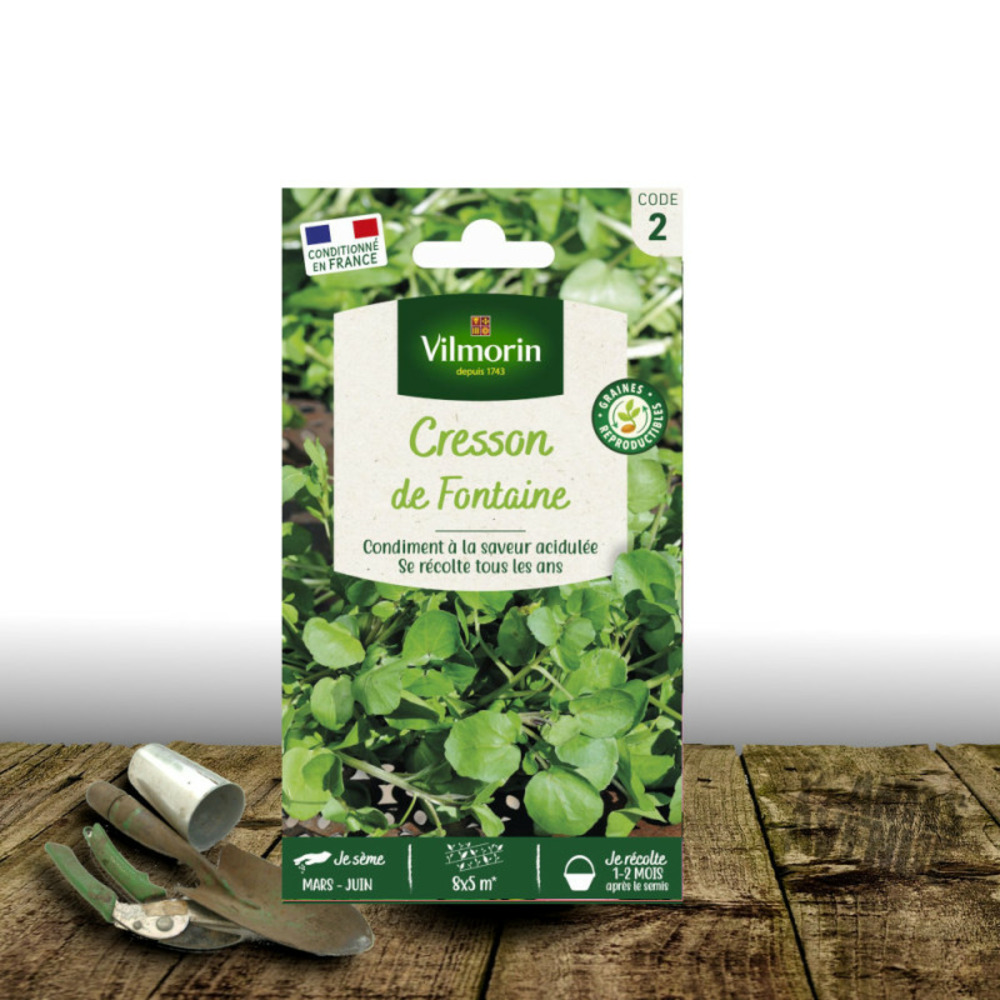 Graines de cresson de fontaine à larges feuilles - vilmorin sachet