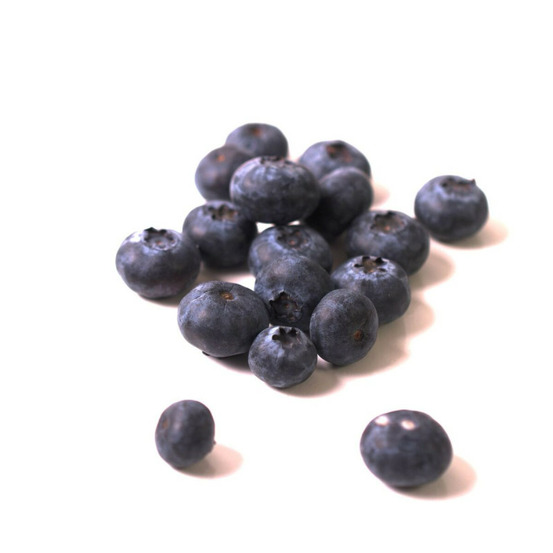 Myrtille jersey, myrtillier pot de 2l