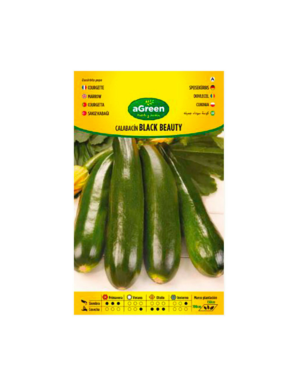 10 sachet de graines de courgette black beauty agreen