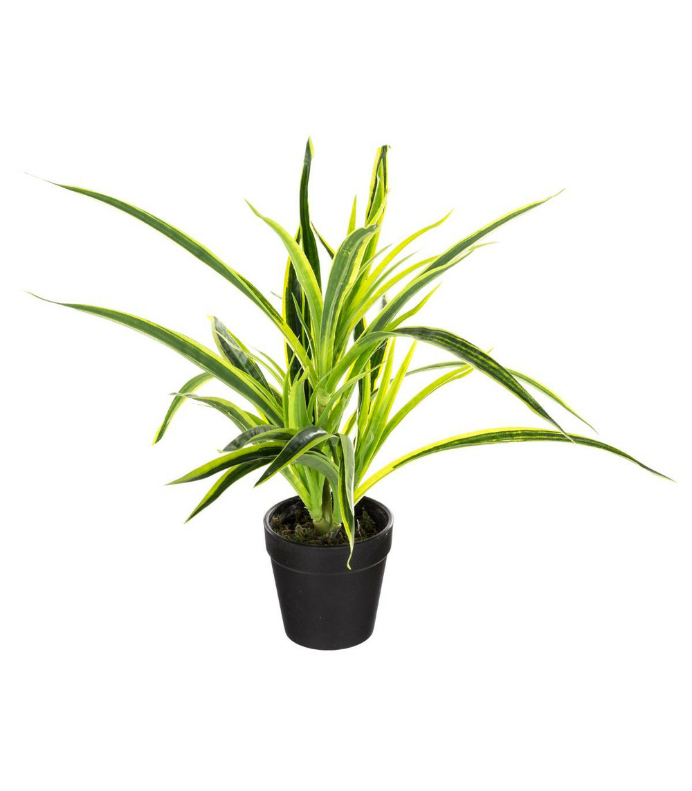 Plante artificielle en pot h 30 cm