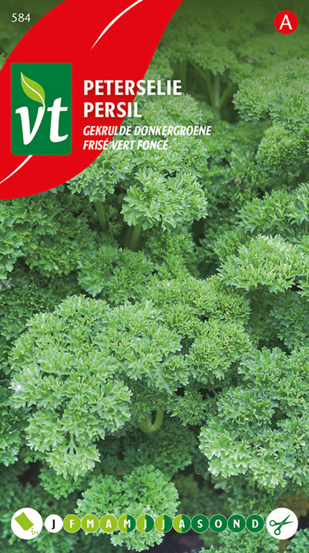 Persil frise vert fonce - ca. 5 gr (livraison gratuite)