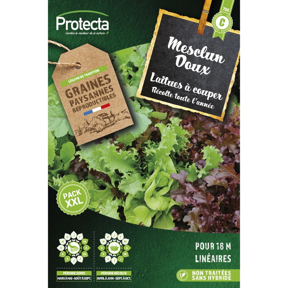 Graines paysannes - mesclun laitue à couper en mélange xxl
