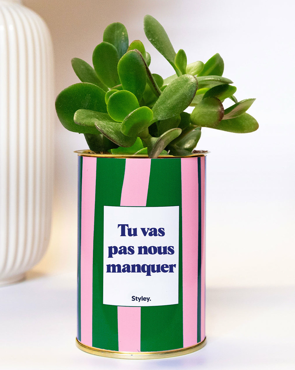 Plante à message - tu vas pas nous manquer - plante grasse