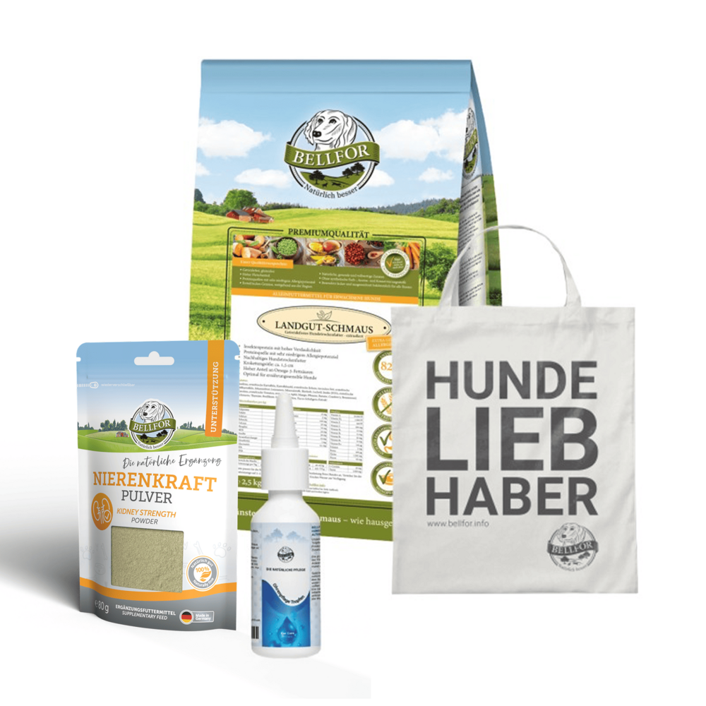 Kit de soins des oreilles pour les chiens de taille moyenne souffrant d'allergies alimentaires