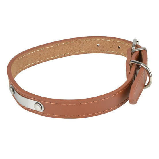 Collier pour chien en cuir