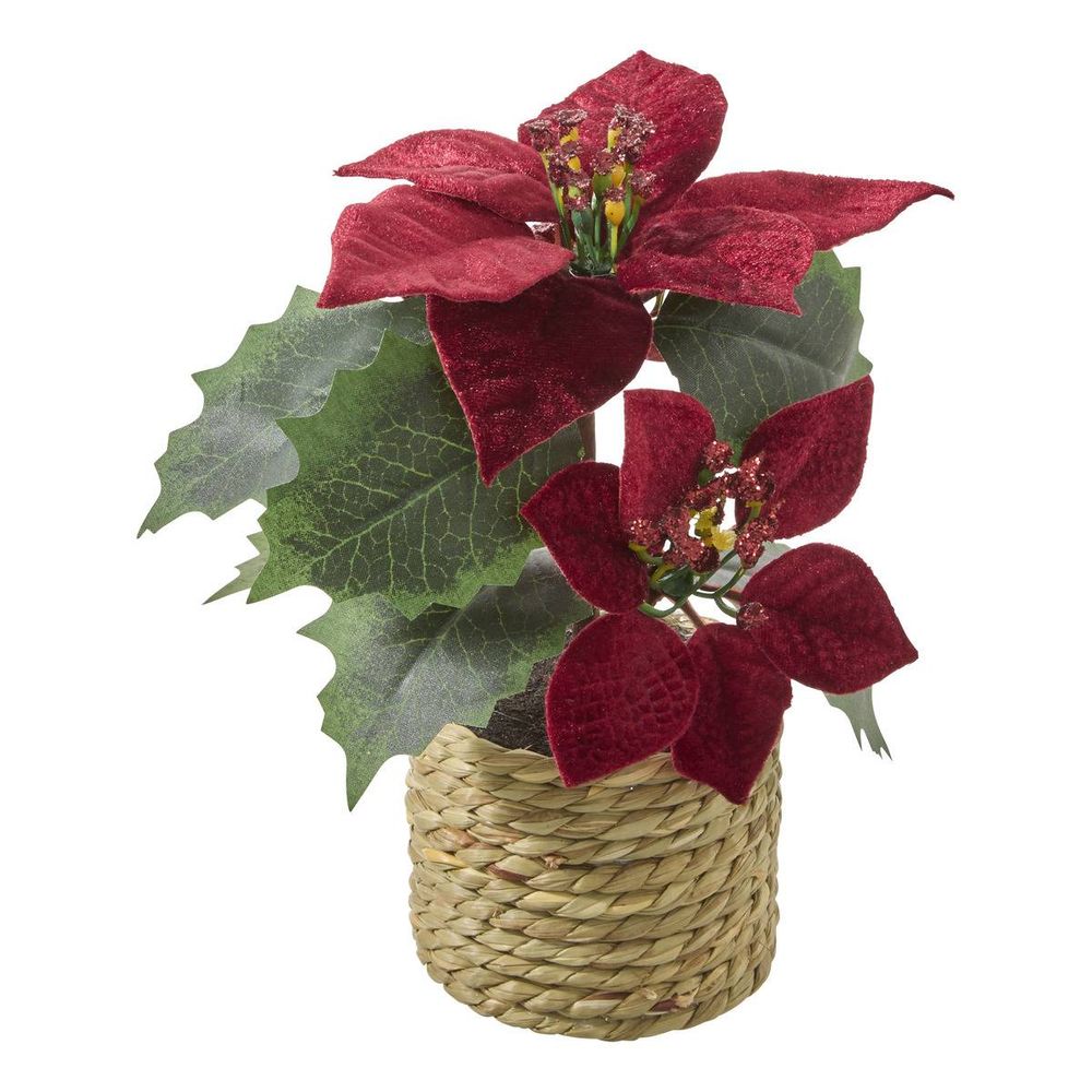Composition de noël poinsettia en velours h. 20 cm