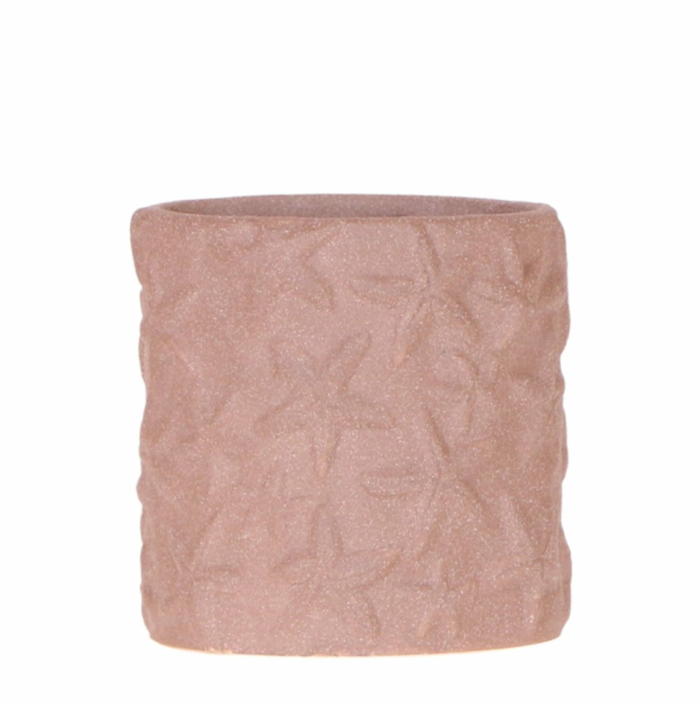 Sierpot star fish marron