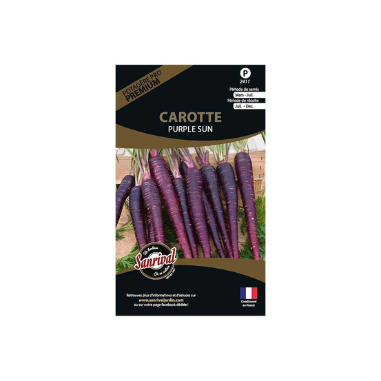 Graines potagères premium carotte purple sun