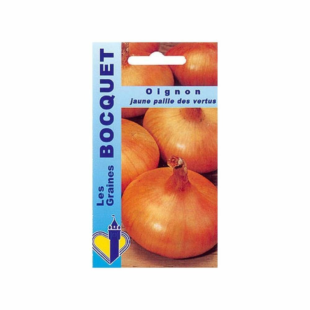 Graines d'oignon jaune paille des vertus