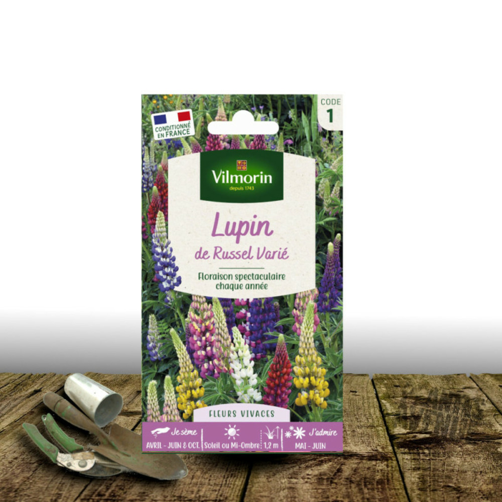 Graines de lupin de russel varié - vilmorin sachet