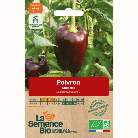 Poivron chocolat - graines bio