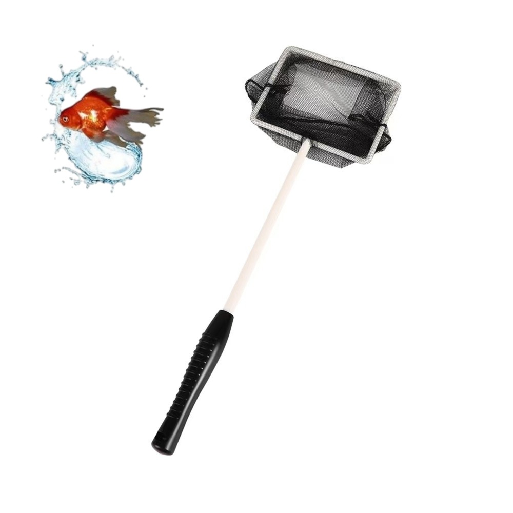 Épuisette aquarium - nettoyage déchets