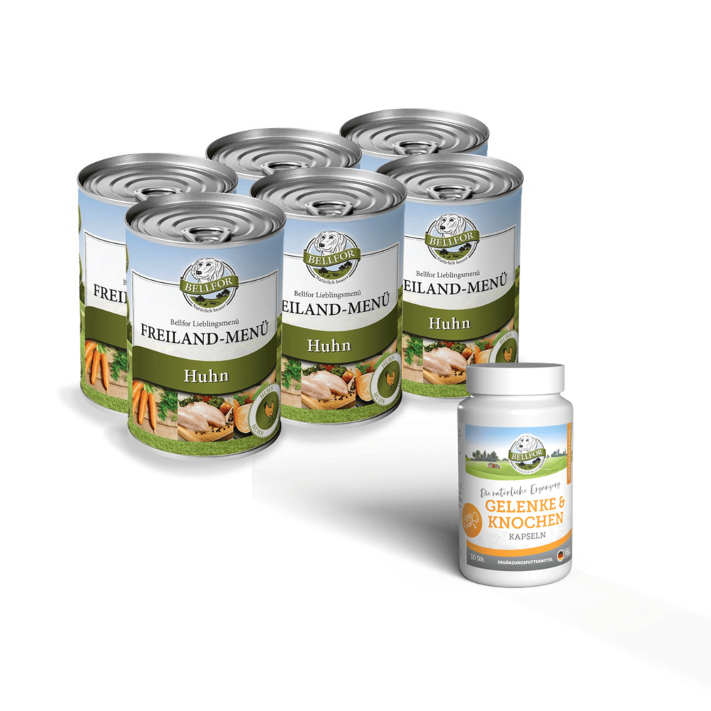 Kit d'alimentation pour chiens de petite race souffrant d'arthrose