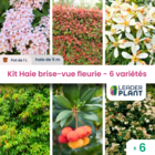 Kit haie brise vue fleurie - 6 variétés - lot de 6 pots de 1 l