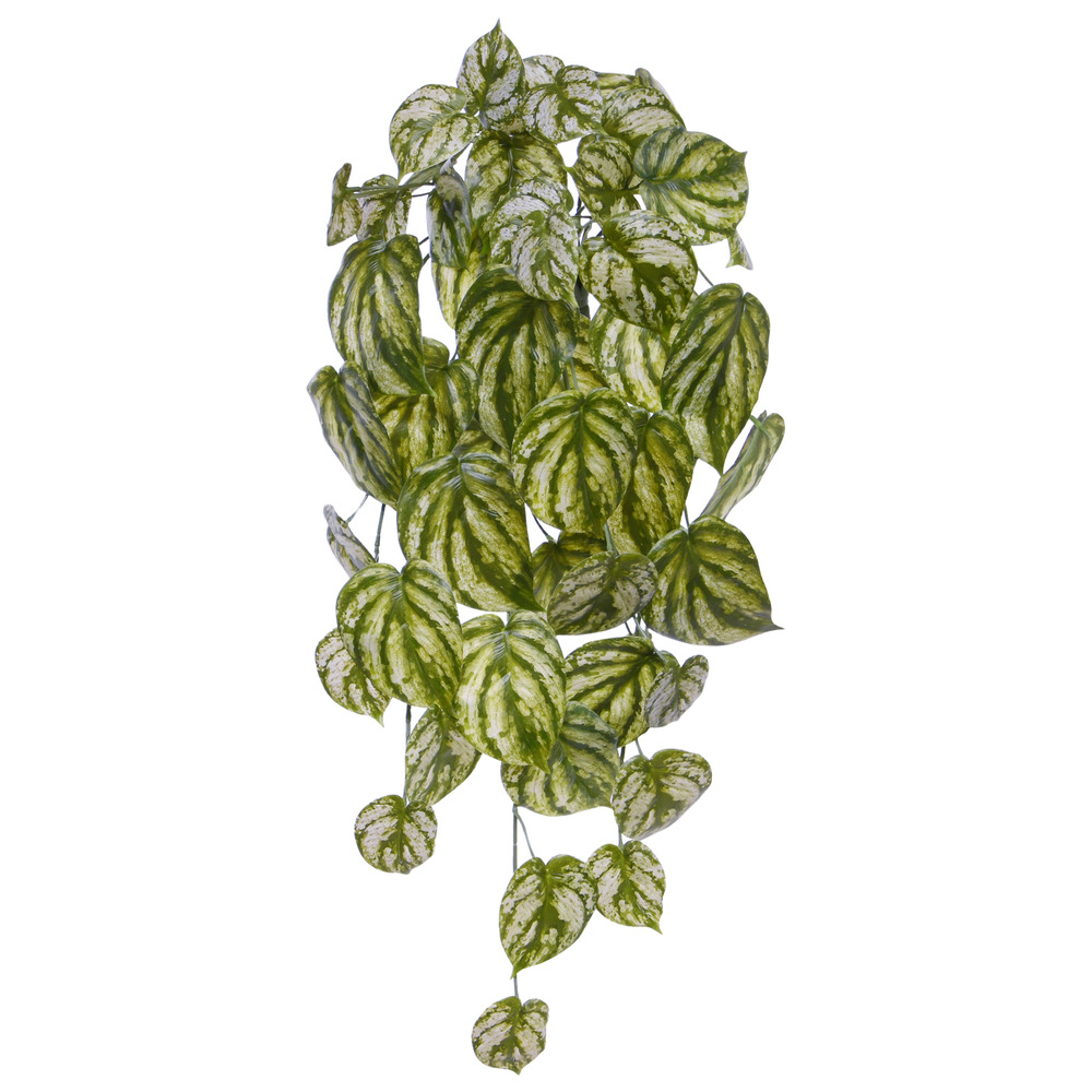Pendentif d'art peperomia gold dust 65cm