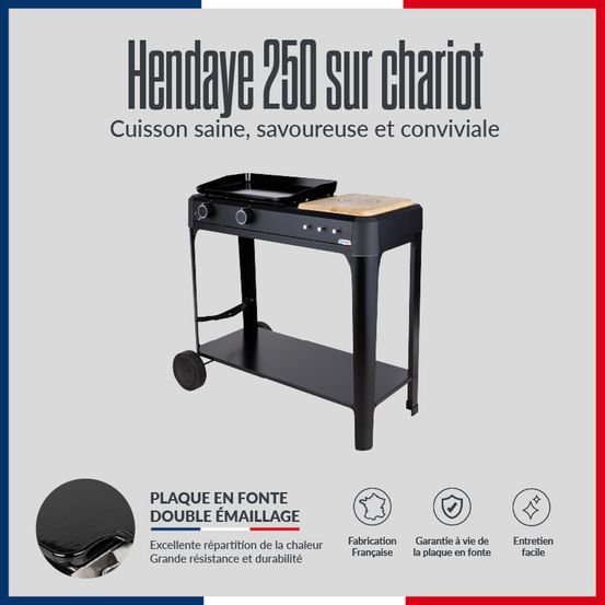 Plancha au gaz hendaye 250
