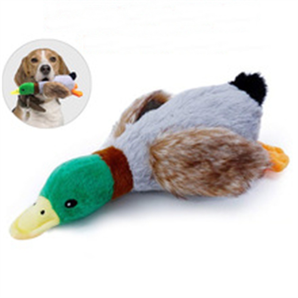 Jouet en peluche canard pour chien dtopbuyage
