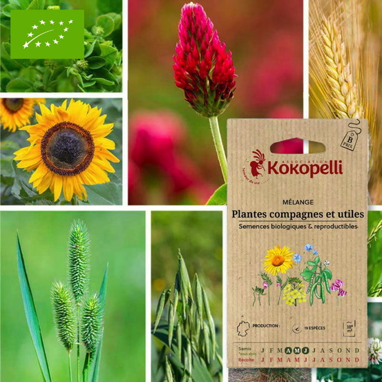 Mélange plantes compagnes et utiles- graines bio à semer
